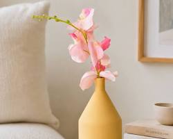 Home Essentials